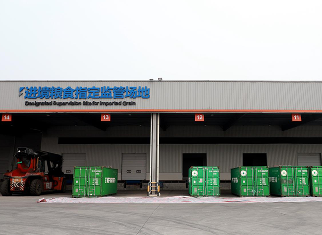 Canadian Peas Arrived in China's Chongqing with Designated Swifter Customs Clearance