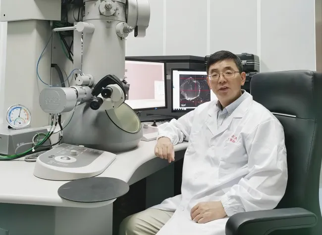 Major Global Breakthrough in Nano-Scale 3D Imaging Technology Could Advance Chip Design | Insights