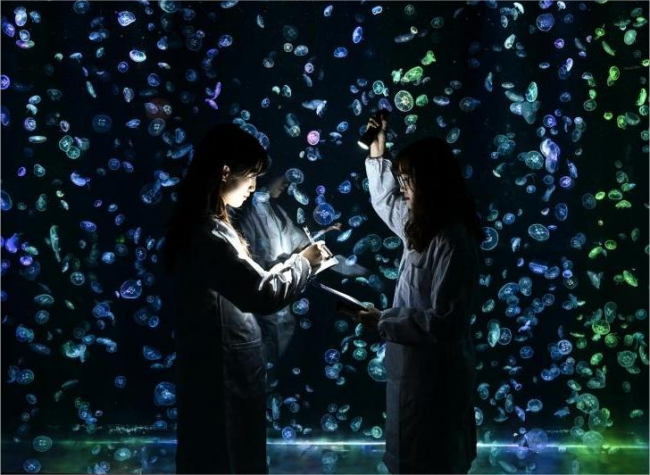 The Passionate Team Behind the Aquarium Scenes | Locals