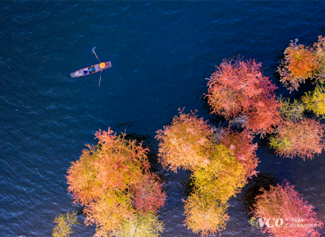 Visual Chongqing | Weekly City Views on Dec 4-10, 2023