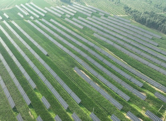 China Releases List of First Batch of Pilot Cities Seeking to Peak Carbon Dioxide Emissions