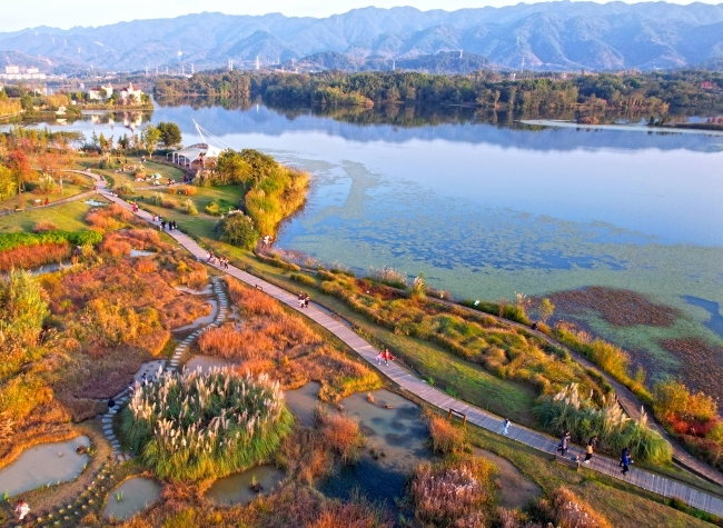 AI-Driven Ecological Protection at Shuanggui Wetland Park