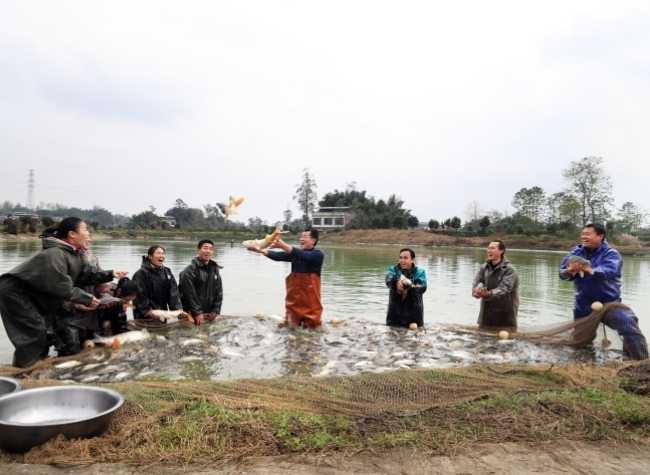 Ecological Fishery and Tourism Industries Boom in Lirang