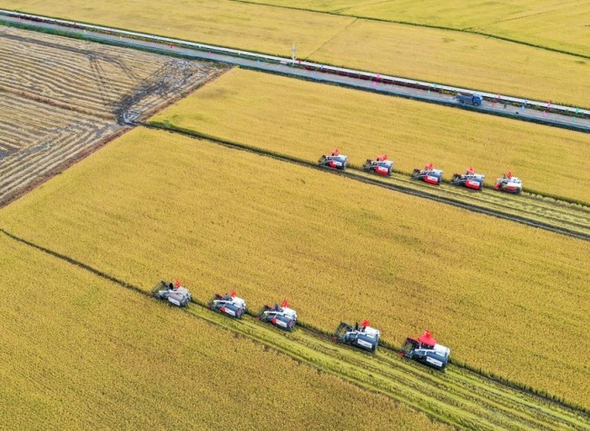 Xi Stresses Consolidating Agricultural Foundation, Advancing Rural Revitalization