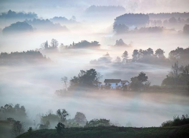 Visual Chongqing | Weekly City Views on Jan 1-7, 2024