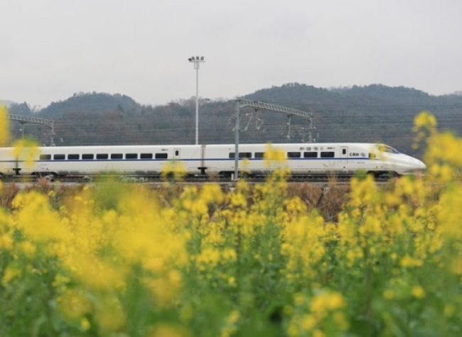 China's High-speed Rail Network 80 pct Complete: Operator