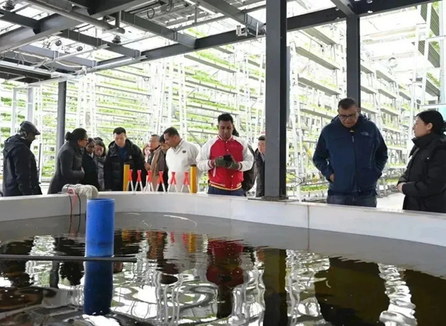 Delegation Visit Strengthens Ties Between Sri Lanka, China's Chongqing