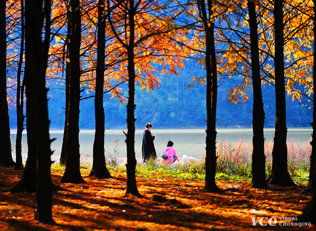 Visual Chongqing | Weekly City Views on Dec 18-24, 2023