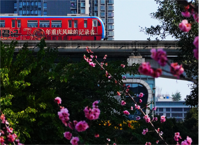 A Festive Review of the Spring Festival Celebrationsin Chongqing | City in the Lens⑥