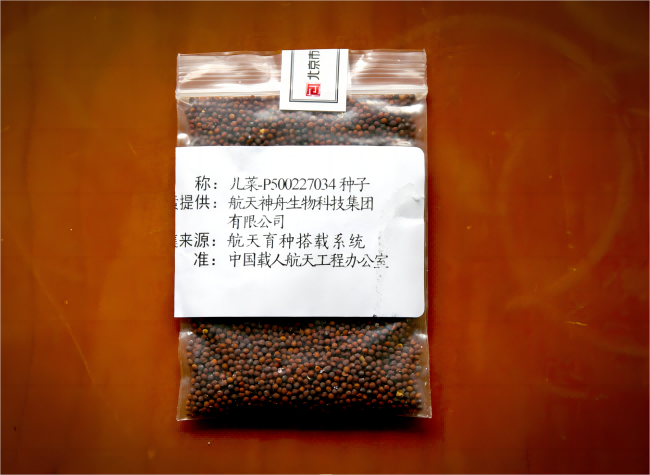 Germplasm Resources Return to Chongqing After 155-Day Space Journey