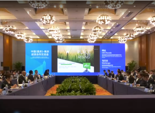 Chongqing and Mpumalanga: Over Two Decades of Friendship and Collaboration | Sister Cities