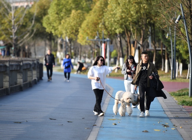 Cultivating Unity and Progress: The Essence of Chongqing's City Spirit Initiative