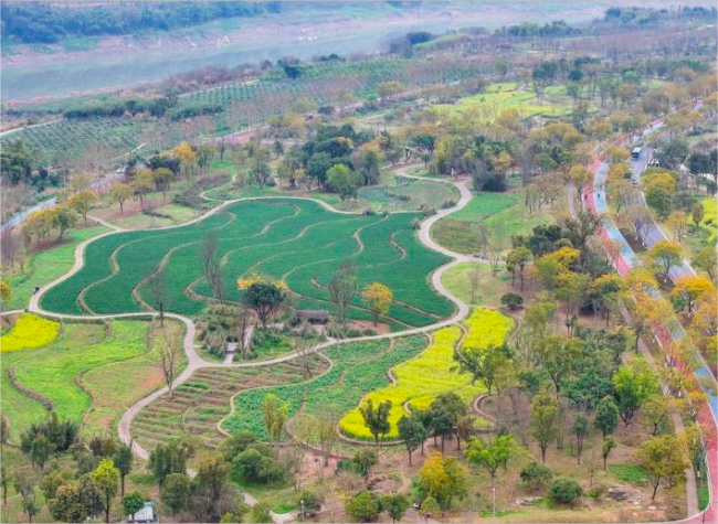 Yangtze River Isle Thrives After Ecological Restoration
