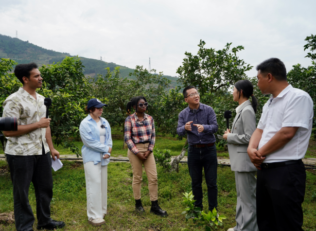 Chongqing's Navel Orange Industry Thrives Through Agritourism