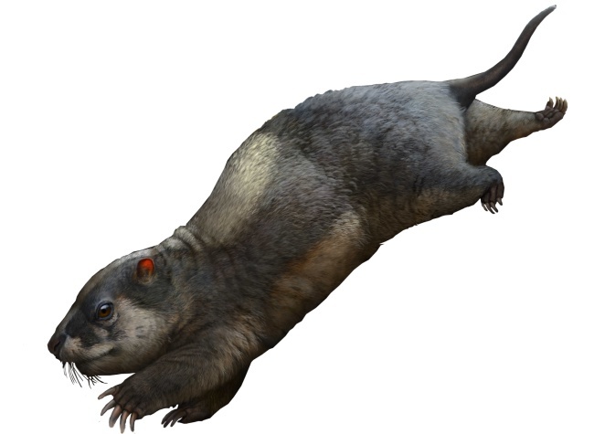 Discovery of Triconodontidae Fossil Unveils Yunyang's Dinosaur-Era Companions