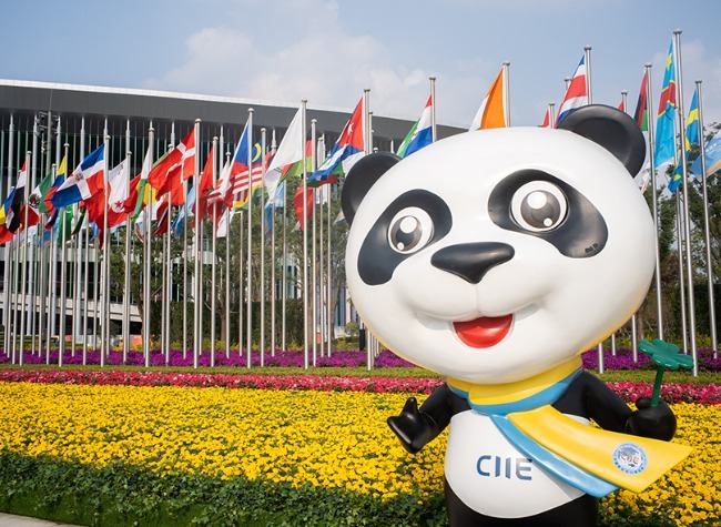 CIIE in Chongqing Investment Promotion Attracts 81 Fortune 500 Participants and Industry Leaders