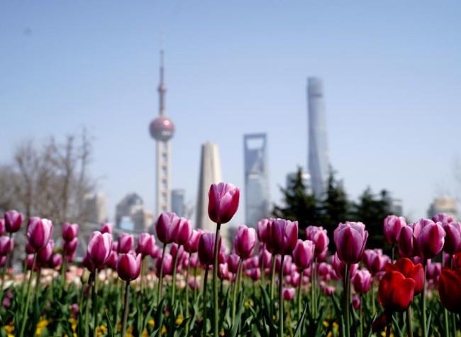 Common Prosperity Goals Catalyze Regional Cooperation in China's Yangtze River Delta