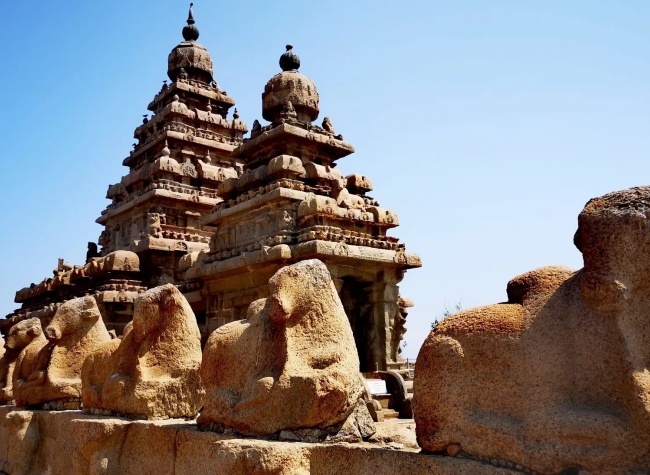 Chongqing and Chennai Establish Sister Cities Friendship | Sister Cities