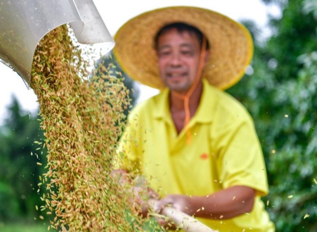 China Launches Campaign to Boost Grain Output