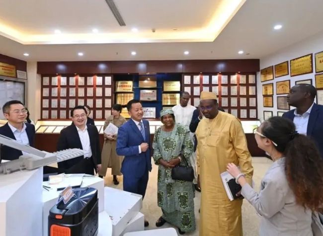 N'Djamena, Chongqing Strengthen Bonds Across Continents | Sister Cities