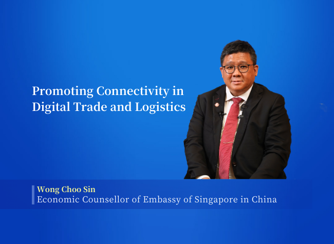 Singapore and Chongqing Enhance Economic Connectivity Through CCI | Insights