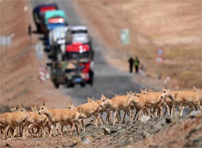 China Seeks to Build World's Largest National Park System