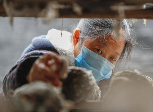 Village CEOs Guide, Empower Rural Revitalization Efforts