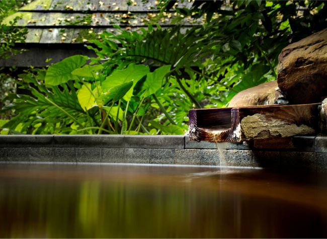 Chongqing Strives to Develop the World's Hot Spring Capital