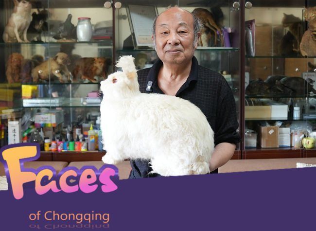 Int'l Museum Day: Elderly Gentleman Transforms Home into Specimen Museum丨Faces of Chongqing