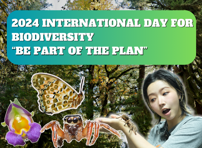 Yintiaoling, Chongqing: The Epitome of Biodiversity Here That Impresses the World