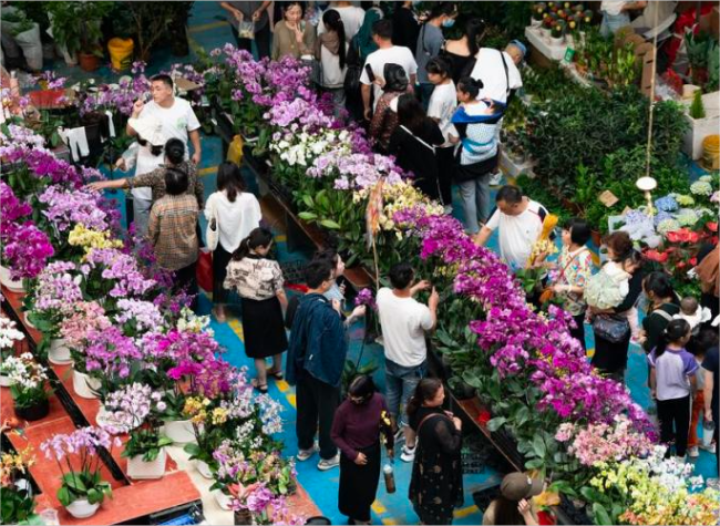 China's Flower Industry Flourishing Amid Growing Demand