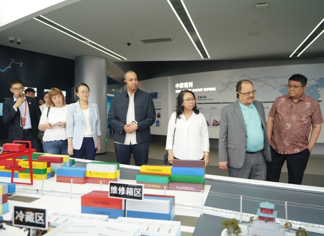 Diplomatic Envoys Explore Chongqing's Logistics and Medical Innovations