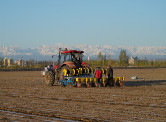 Dedicated Farmers Power Xinjiang's Cotton Harvest