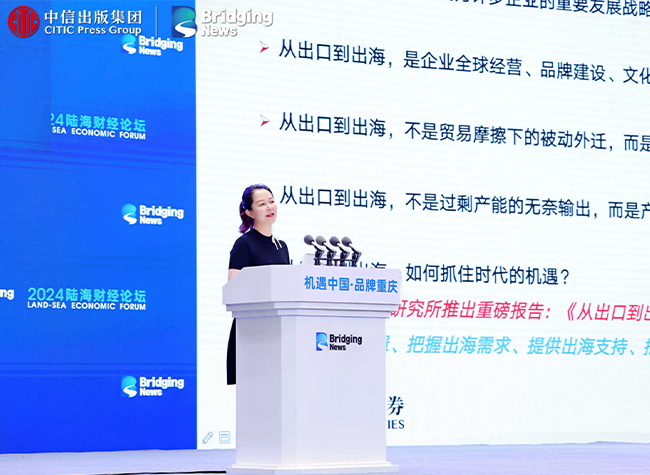 Localization for Global Expansion: Tailoring, Quality, Support, and Marketing