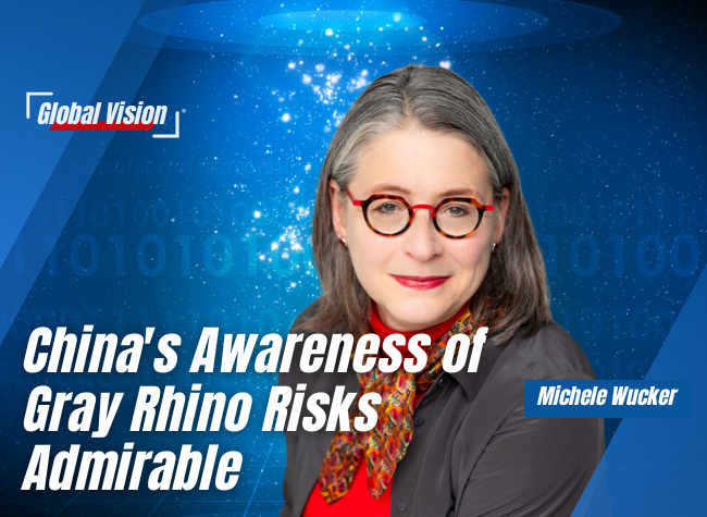 China's Awareness of Gray Rhino Risks Admirable | Global Vision