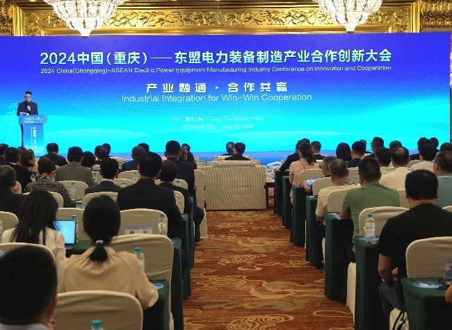 Chongqing's Fuling Targets ASEAN Markets for Electric Power Equipment Manufacturing