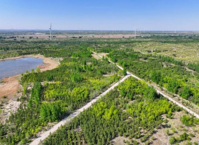 Innovation Fortifies China's 'Green Great Wall' Against Desertification