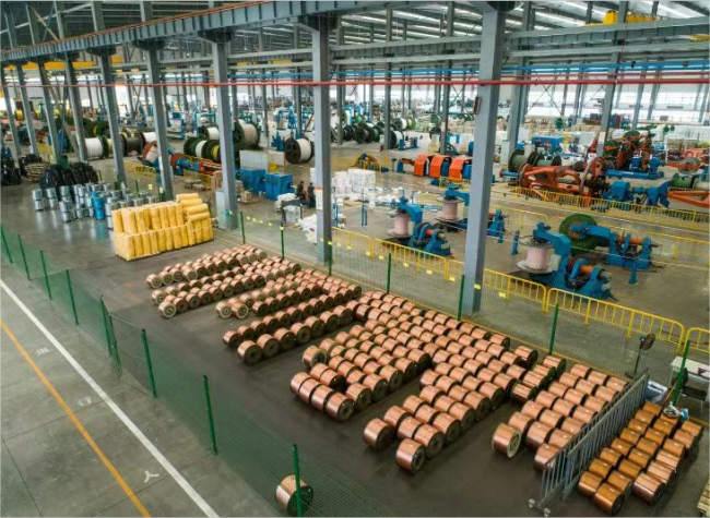 Chongqing-Made Cables Impress Global Markets with Technological Innovation