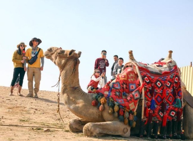 Easier Travel Fuels Chinese People's Interest in Global Destinations