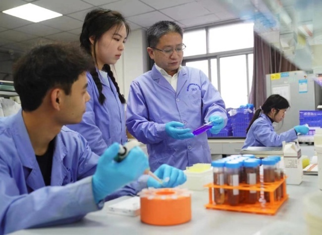 Chongqing's Research Team Decodes Silkworm W Chromosome, Unveils New Evolutionary Mechanisms