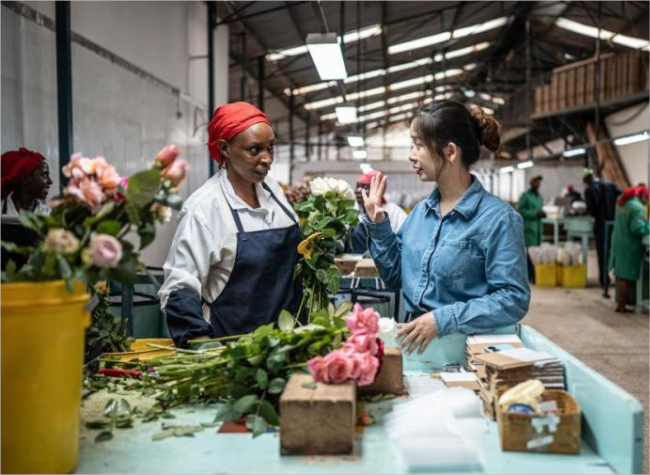 African Agriculture Thrives with Chinese Technology, Market Access