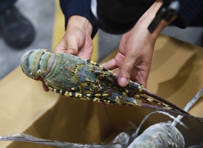 Brunei's Frozen Aquatic Products Make Debut in Chongqing Through ILSTC