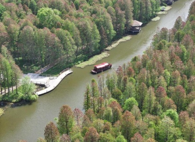 China Reports Marked Progress on Ecological Restoration at UN Event