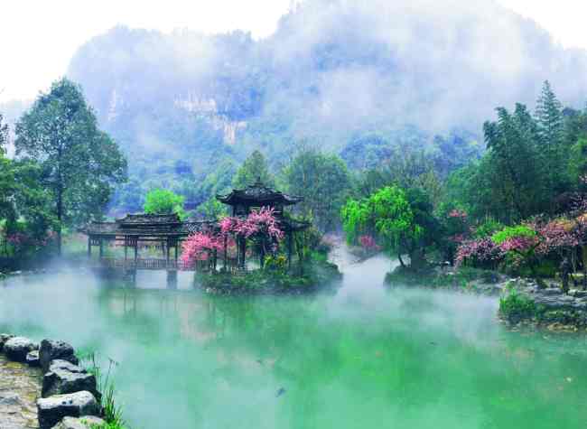 Chongqing's 'Youyang 800' Regional Public Brand Sets Sights on Global Market