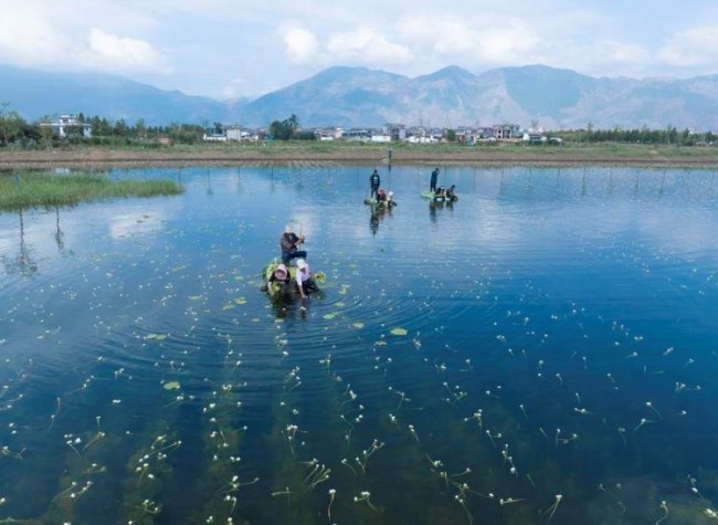 China's Ecological Environment Improves in 2023 with Progress on Air, Water Quality