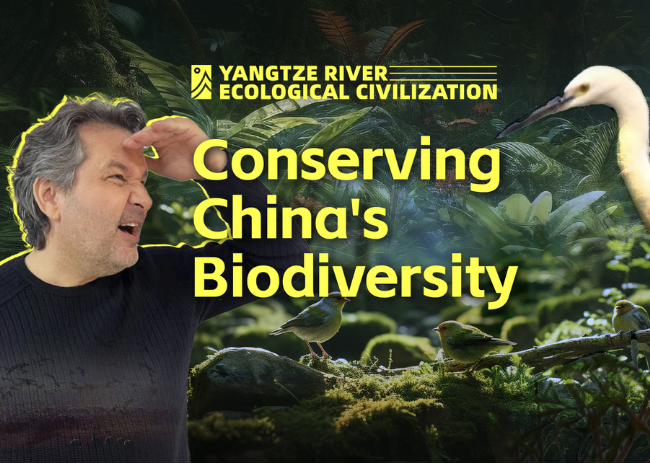 Chongqing Champions Green Development in the Yangtze River Economic Belt