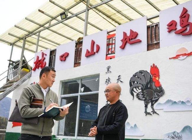 Village CEOs Propel China's Rural Progress | In-Depth