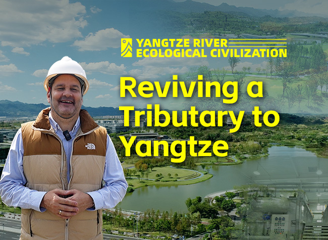 Reviving the Yulin River, Chongqing's Journey to Cleaner Waters