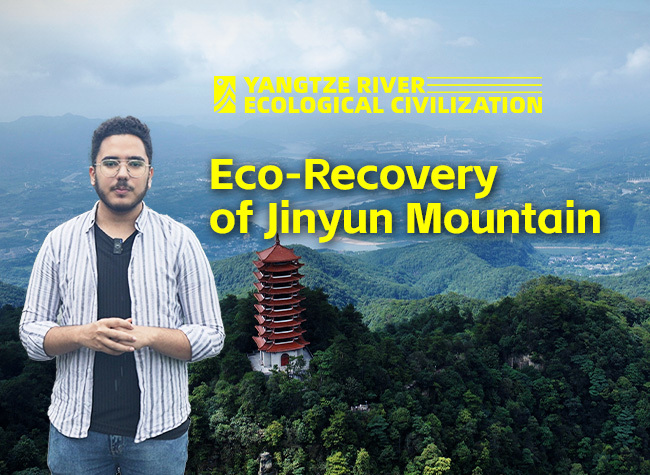 Resurgence of Life: The Remarkable Eco-Recovery of Jinyun Mountain