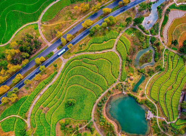 Chongqing Introduces AI Agriculture Model for Digital New Farmers